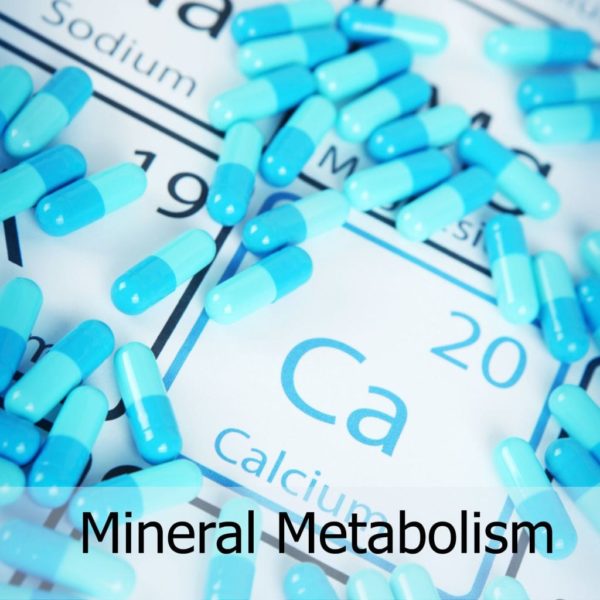 Mineral Metabolism DRG International, Inc.