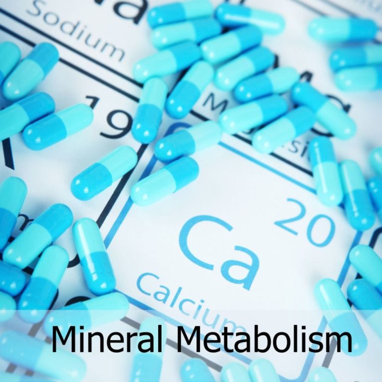 Mineral Metabolism DRG International, Inc.